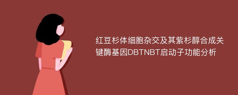 红豆杉体细胞杂交及其紫杉醇合成关键酶基因DBTNBT启动子功能分析