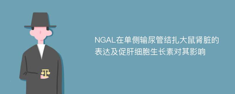 NGAL在单侧输尿管结扎大鼠肾脏的表达及促肝细胞生长素对其影响