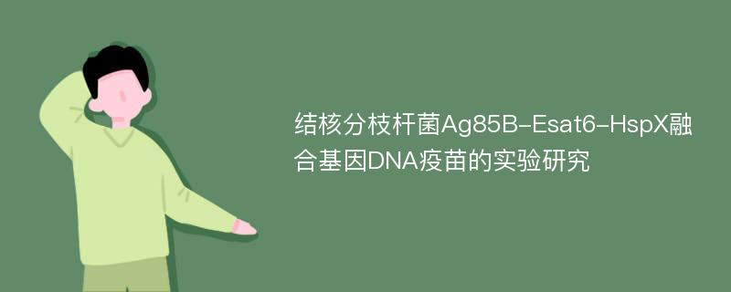 结核分枝杆菌Ag85B-Esat6-HspX融合基因DNA疫苗的实验研究
