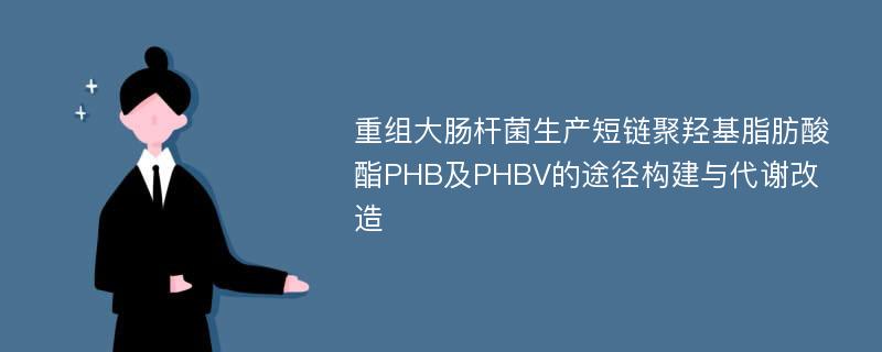 重组大肠杆菌生产短链聚羟基脂肪酸酯PHB及PHBV的途径构建与代谢改造