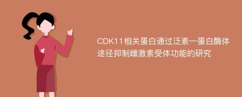 CDK11相关蛋白通过泛素—蛋白酶体途径抑制雌激素受体功能的研究