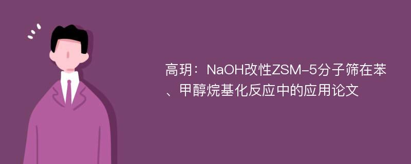 高玥：NaOH改性ZSM-5分子筛在苯、甲醇烷基化反应中的应用论文