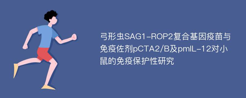 弓形虫SAG1-ROP2复合基因疫苗与免疫佐剂pCTA2/B及pmIL-12对小鼠的免疫保护性研究