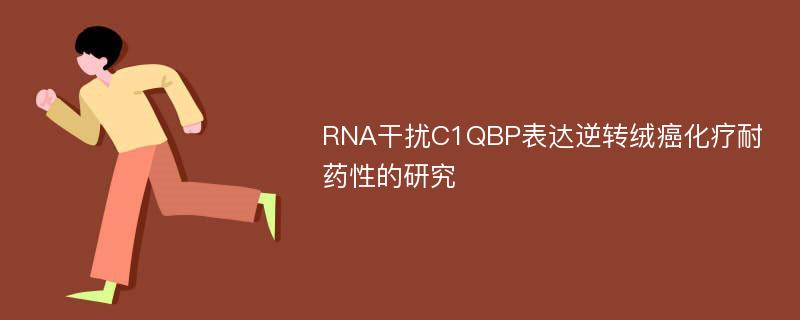 RNA干扰C1QBP表达逆转绒癌化疗耐药性的研究