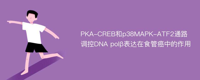 PKA-CREB和p38MAPK-ATF2通路调控DNA polβ表达在食管癌中的作用