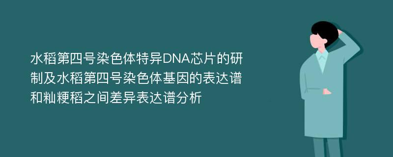 水稻第四号染色体特异DNA芯片的研制及水稻第四号染色体基因的表达谱和籼粳稻之间差异表达谱分析