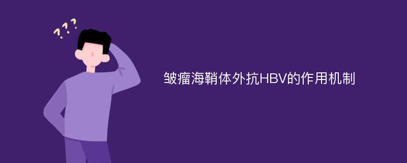 皱瘤海鞘体外抗HBV的作用机制