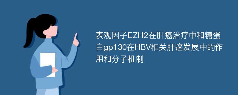 表观因子EZH2在肝癌治疗中和糖蛋白gp130在HBV相关肝癌发展中的作用和分子机制