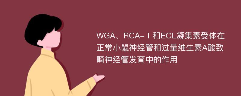 WGA、RCA-Ⅰ和ECL凝集素受体在正常小鼠神经管和过量维生素A酸致畸神经管发育中的作用
